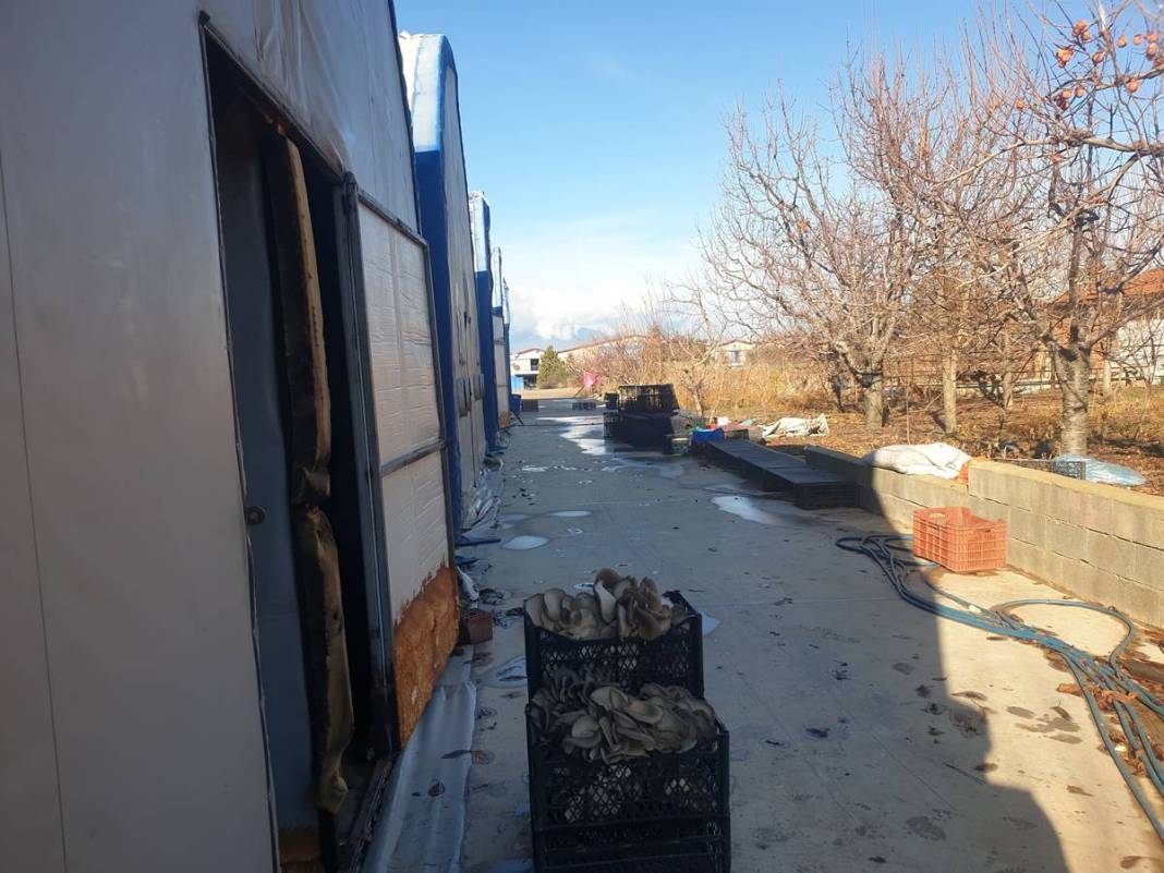 Köyünde sıfırdan sistem kurdu: Yılda 1 milyon 400 bin TL kazanıyor! Para oluk oluk akıyor, yatırım dediğin böyle olur 3